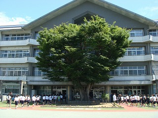 1422-3.jpg